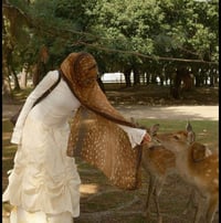 شال الغزال • أصلي • كمية محدودة
