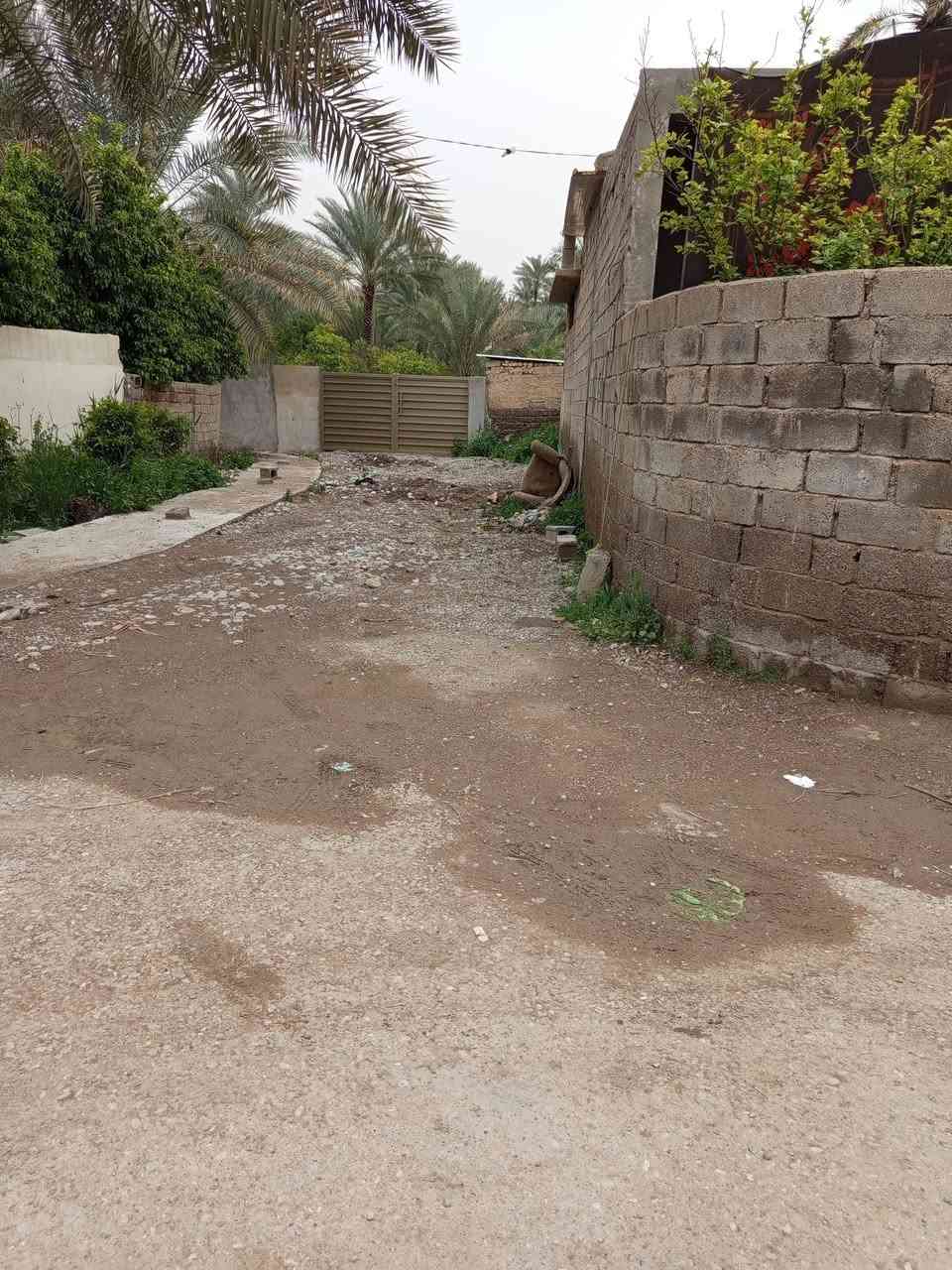 قطع للبيع طابو زراعي سند 25 حسب الطلب تصلح سكن ومزارع خدمات قيد الانجاز ماء وكهرباء  وتبليط وخط مولد وإنارة ويوجد ماء نهر السعر 100م  13 مليون بعقوبة جبينات مدخل مشروع الماء بعد الجامع للاستفسار خاص او ***********ه
