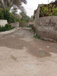 بعقوبة جبينات • ١٠٠م • طابو زراعي