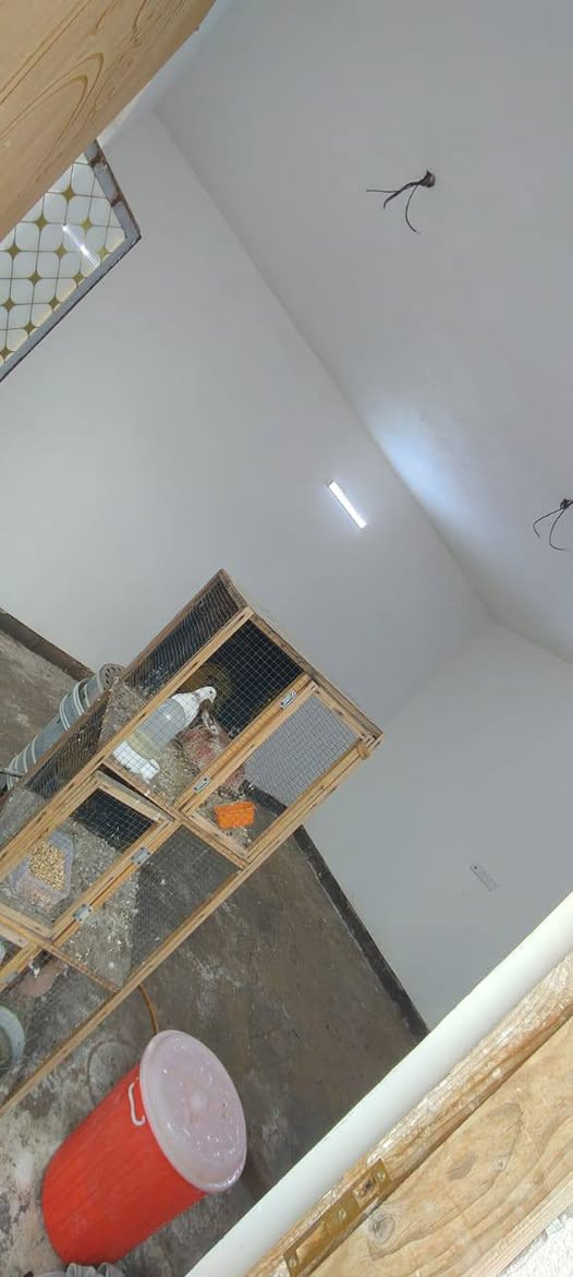 السلام عليكم بيت للبيع في النهروان في الدوانم خلف مطعم الديوان 200م
نهايه الخط الثاني بيت كامل غرفتين وصاله وصحيات و استقبال كامل الخدمات بي سحب كهرباء وتانكيات 
السعر 38 وبي مجال 
الاسستفسار *********** بي وتساب ايضا
