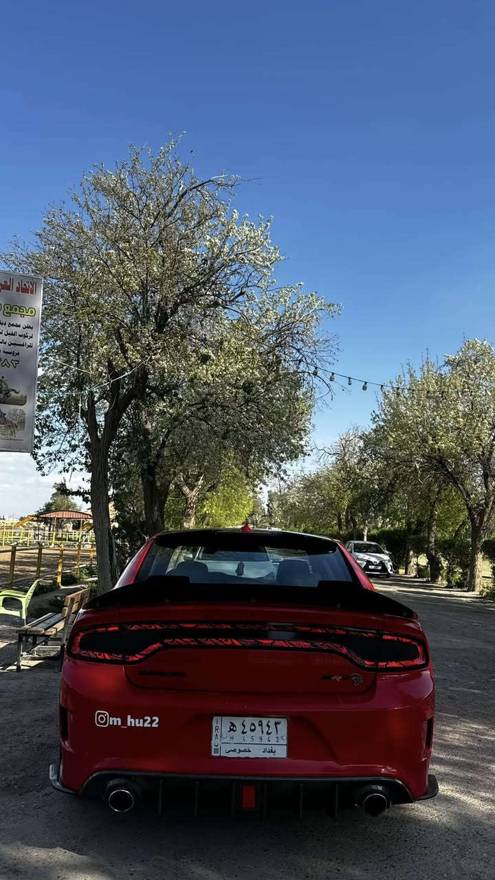 چارجر RT 5700 احمر ناري
موديل 2019 بدون صبغ 
عليها كت هيلكات بنيد ودعاميات
كشنات حضن احمر
ماشيه78فقط
كشنات كهرباء 
شفتات ستيرن 
شاشه جبيره
عليها ولف حماره ريسنك
بلكات ريسنك 
اكسل قفل
لد متغير اوركال  
ويل هيلكات اصلي +ستدات طلقه
سستم سماعات الباين
زعانف كاربون 
كت كاربون فايبر كامل
دوس كاربون 
كفرات مري كاربون 
دفيوزر كاربون
لحيه امياميه 
تخم تاير جديد +دهن امزويل وكاله جديد
السياره كامله وسعرها مناسب 210وبيها مجال
رقمي***********
