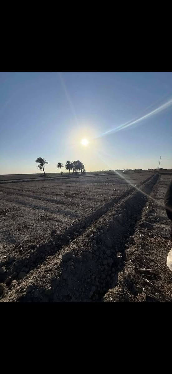 سعر مناسب جدااااا
يوجد 20 دونم سند مستقل  بسعر 5 مليون وبيهه مجال

 عبور جسر سبع البور الشيخ عامر منطقةالعيساوية طابو زراعي على طابو الفلوجه سند 25 فتح بيان بأسمك

 يتوفر ماء وكهرباء وقريبة على السكن  تباع بالكامل وليس تقطيع

 للاتصال *********** واتساب
