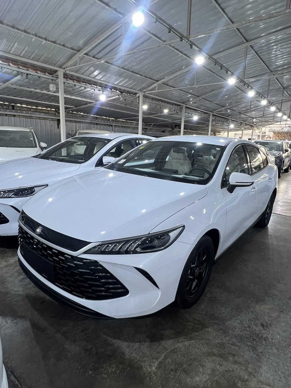 ‼️متوفر كافة فئات سيارات BYD زيرو‼️

✨بي واي دي ديستروير ( فتحة+بدون فتحة)
✨بي واي دي كين بلاس 
✨بي واي دي سيل 05
✨بي واي دي سونغ برو
✨بي واي دي سونغ L

⬅️((متوفر مرقم لوحة وسنوية + بدون رقم))➡️

العنوان: بغداد الكريعات شارع الوقف السني معرض الفرقان لتجارة السيارات

للتواصل والاستفسار عن الاسعار
اتصل على الرقم المثبت او الارقام ادناه
***********
***********
***********
