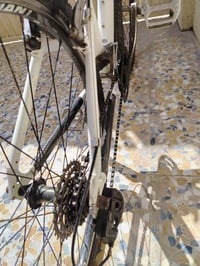 بايسكل جينت • رياضي • اسناب