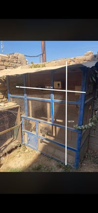 مراوس • قفص صغير • حي الفارس