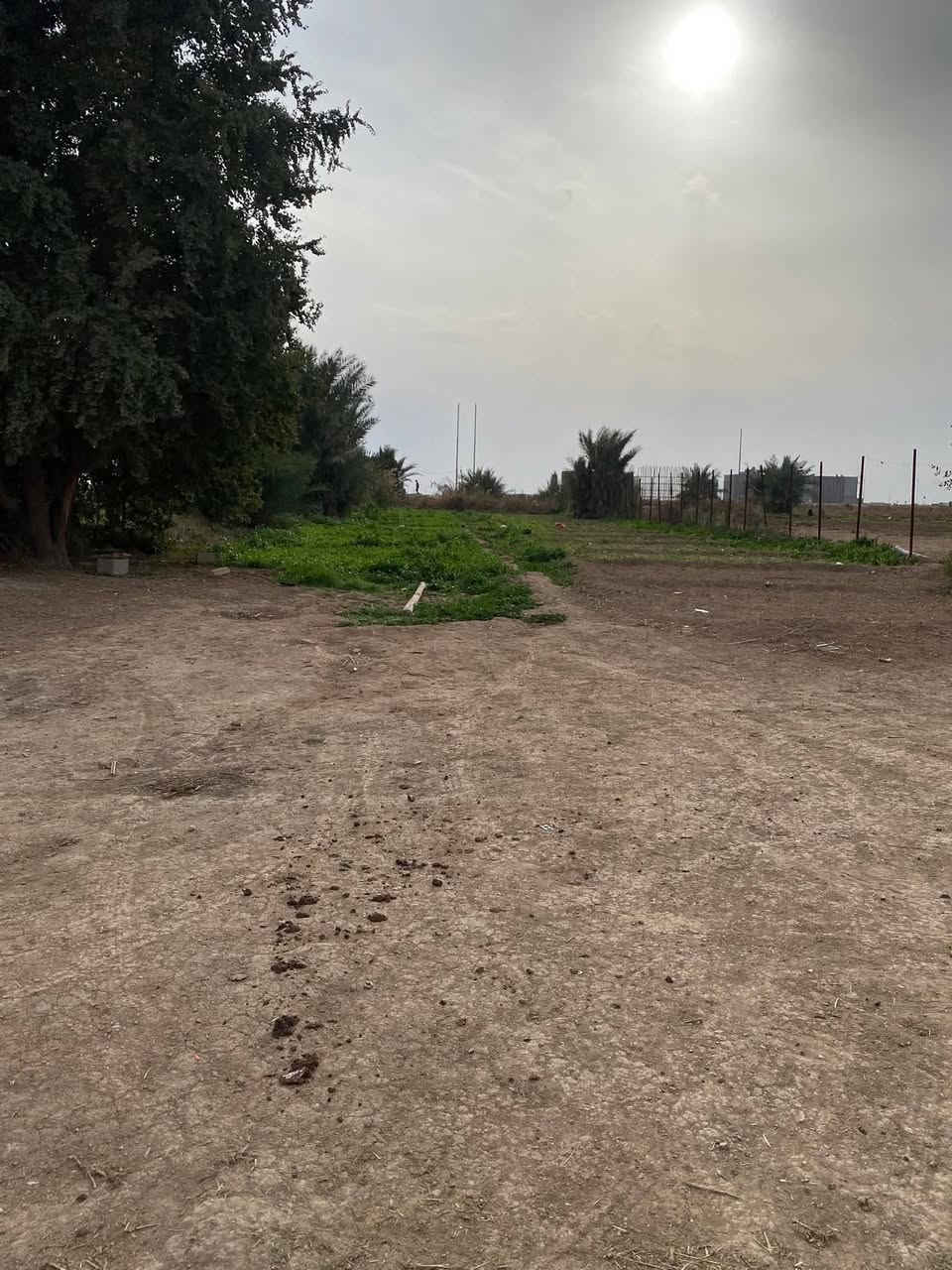 سلام عليكم نصف دونم بحي لبتول ع سده مل شطيط كامله لخدمات مي كهربائي سحب ***********
