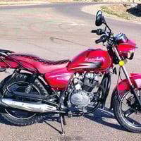 هاوشا • ٢٠٢١ • مكفولة