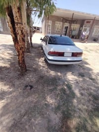 برنس • ٩٥ • واسط الزبيديه