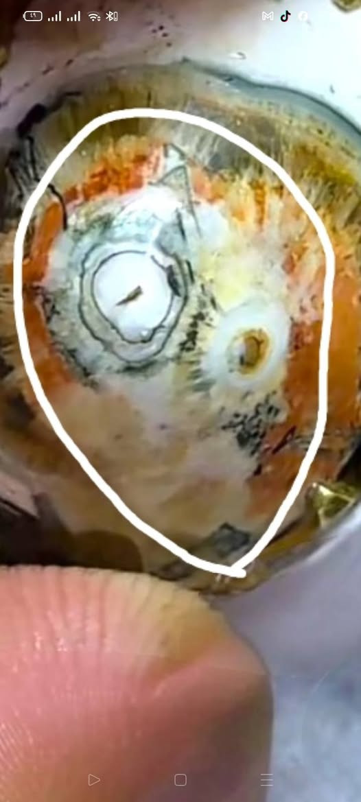 حجر داوودي معطف مصور رباني وجه صياغه نحاس شرط حجرته أصليه مفوله ع النظره سعره وتفاصيله خاص يوجد توصيل جميع المحافظات


**إذا كنت صاحب هذا الإعلان وتريد حذفه لأي سبب، رجاءا أرسل رسالة إلى الدعم الفني**