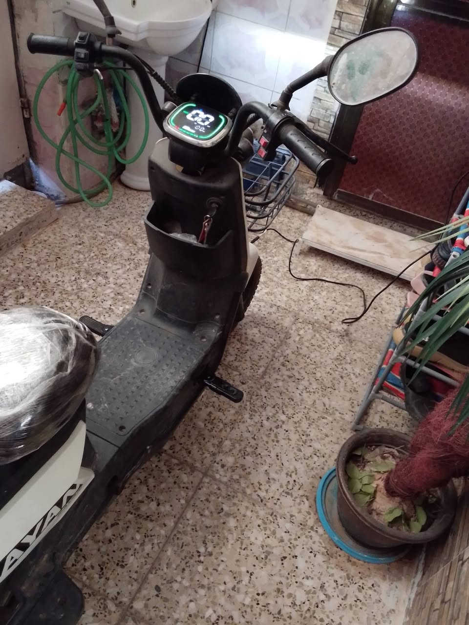 سلام عليكم عندي هاي الدراجه بطارياته صاله شهر من مشدودات رايد مراوس بدراجه اكبر منه الي عنده يجي خاص مكاني بغداد الاسكان


**إذا كنت صاحب هذا الإعلان وتريد حذفه لأي سبب، رجاءا أرسل رسالة إلى الدعم الفني**
