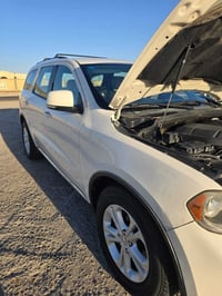 دورنكو • ٢٠١١ • البصرة القرنة