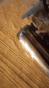 سلام عليكم فراشه البيع كدامك اسمع صوتهه وشوفه ورسلني مو شراي اعبر المنشور ***********
