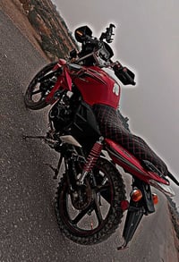 دايون خفاش • موديل 23 • وراق