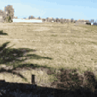 ارض زراعية للبيع سند ٢٥ مساحتها ٣دوانم ونص🌴🌴🌴🌴 تتكون الارض من بيتين 🏠🏠...