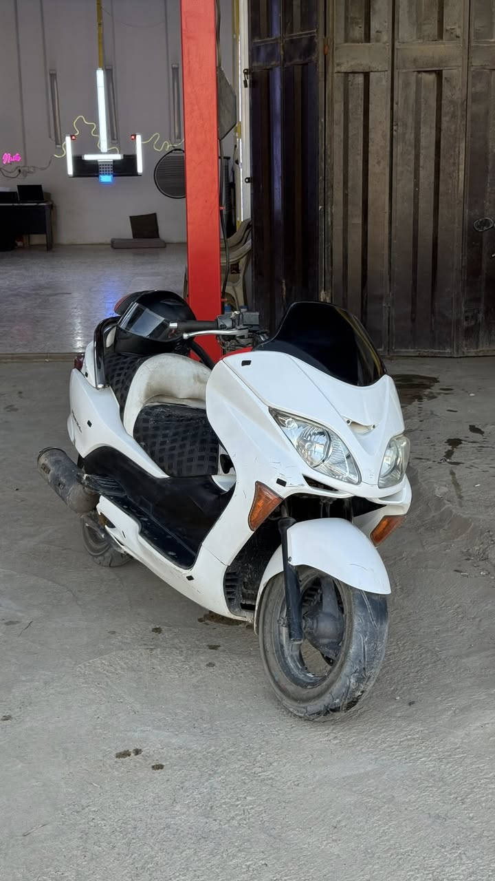 فورزا 08 عميه للبيع 
 محرك 250cc
شويه عوزها نقوصات بالشكل كفرها زين 
محركها شويه تعبان بي رنگات
بيها بخار 
وفيت بم تعبان فقط كل نقص مابيها بعد 
تخم تاير جديد 
كلتشات امامي خلفي  وقايش جديد وكاله مو تجاري 
خوذه دوت وياها 
عالي ثلجي شادين زنون ليزري 
تجوه حديد مال راكب
سواداتها فحم عوزهن تنضيف بس 
الدراجه اوراق بس اوراقها شويه منتهيات بسبب واگع عليهن عطر
الدراجه ما بيها اي نقص تشوف بعينك يلا تاخذ فقط الي ذكرتهن هاي نقوصاتها ولا هيه دراجه خير من الله رون ١ ونص معدلها ١٢٠ بس شويه محركها تعبان جاي ادك ١٠٠ وبافضل حالاتها ادك ١٢٠ احتمال بسبب المحرك او الفيت بم اذا عالجتهن اضمنلك ادك حتى ١٤٠ 
.
.
.
السعر :مليون 
*********** للتواصل والاستفسار على هذا الرقم متواجد
