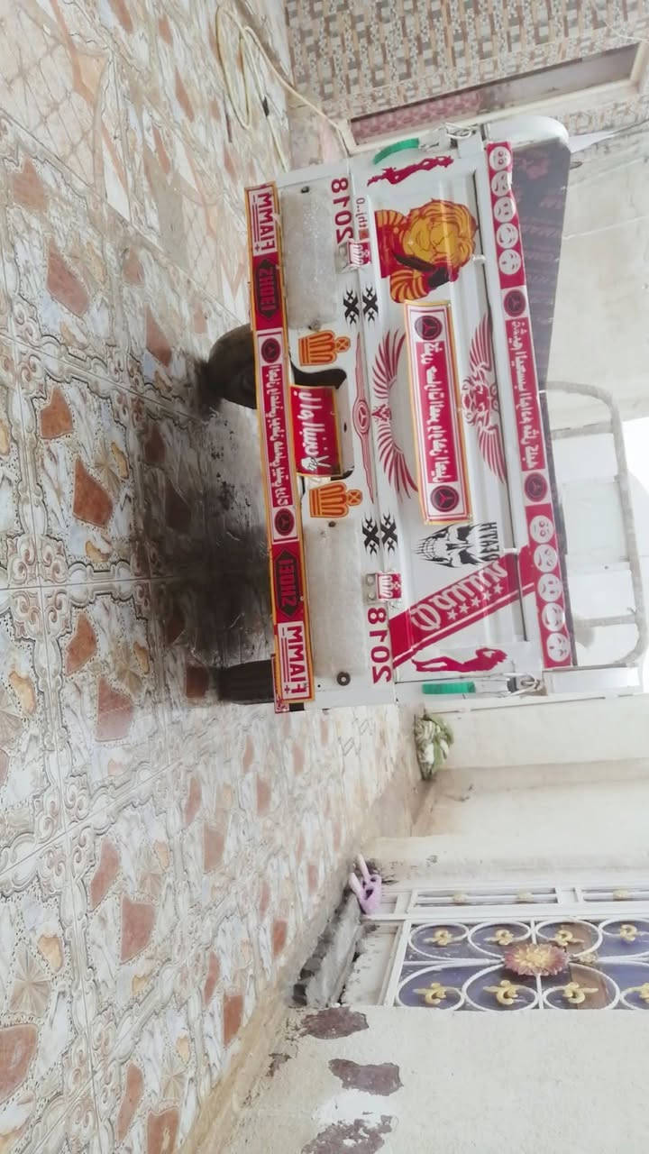 سلام عليكم شباب ستوته البيع المكان ذي قار قظاء الشطره حي الشرطه

الموصفات
نوع دآيون موديل 18)
تعمير من الدعاميه الجاملغ 25
شوفت عينك السعر  2  و   100وبيه مجل 
شراي تصل وبيك خير وتدلل

رقم الهاتف ***********
