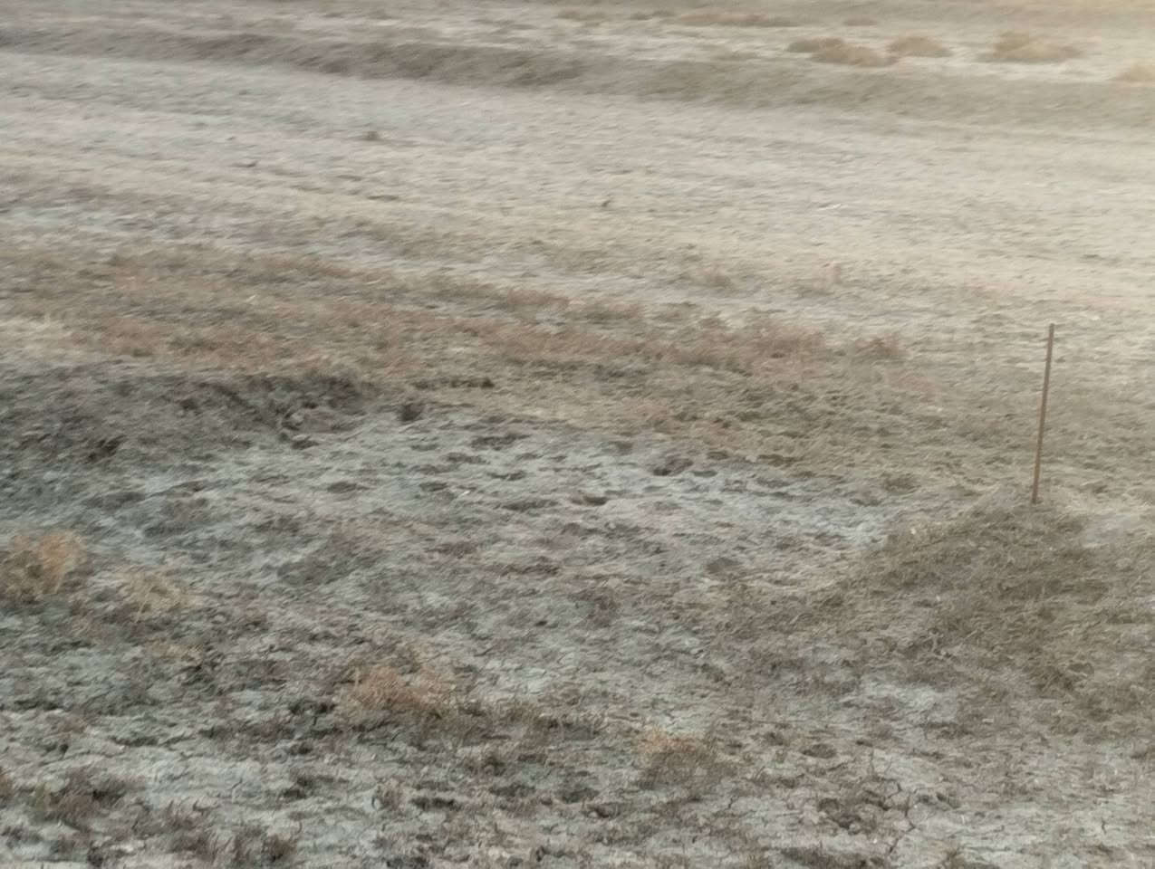 بسم الله الرحمن الرحيم 
كاع دونيمين700متر للبيع 
صوب بني ركاب طريق سعيدان 
خلف الحامع 
على الشارع التبليط 
خدمات موجود كهرباء 
ومي اساله ومي سقي من سعيدان 
الكاع زراعيه
السعر وباقي التفاصيل 
يم صاحب الكاع 
رقم صاحب الكاع ***********
او على الأرقام 
***********
***********
او مراسلة الصفحة 
#هادي_الحجيمي
