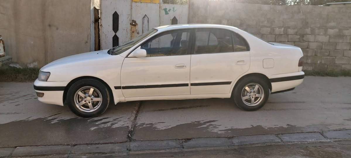 فرخ بطه رقم نينوى نكليني مكينه كير نضيف صبغ حزام جماليه سعر ٤٥ تفاصيل ***********
