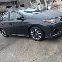 بيكاسو • ٢٠١٧ • رانية