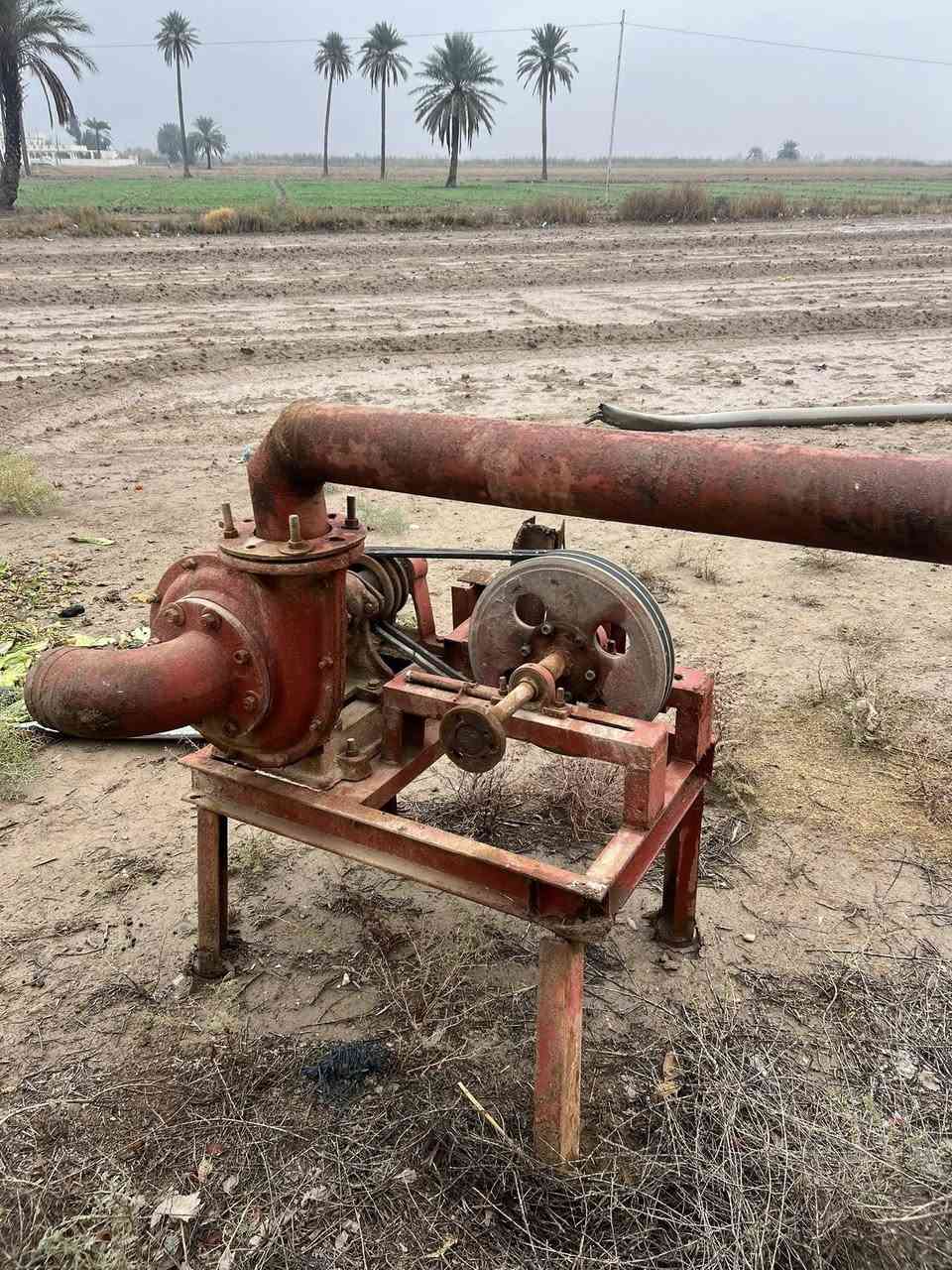 السلام عليكم البيع نحاله 6/5مكان بابل قضاء المحاويل ناحية الامام  على خط السريع قرب محطة العمران المشيدة رقم الهاتف ‭0773 534 0640‬/‭0784 333 3033‬
