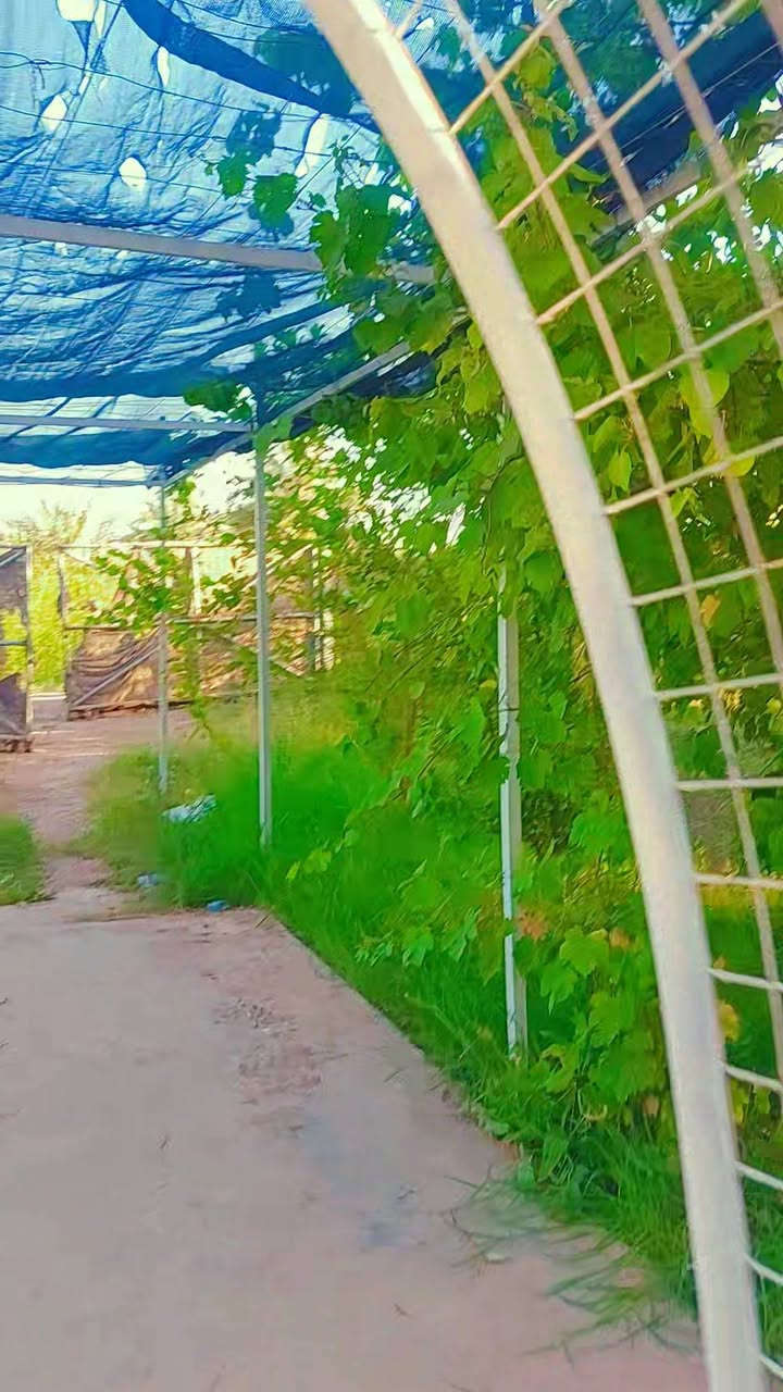 السلام عليكم  دونم للبيع بالراشدية جميع خدمات متوفره  وجه دونم ٤٠  × ٦٠  دونم  يحتوي على دار استراحة  يصلح سكن أو  شاليه  للايجار  
مكان  دونم  الراشدية  محايد  بين منطقة  المراسمه  ومنطقة  سوامره 
سند دونم  ٢٥  تحميل  على  طابو الحسينية  
سعر خاص   راح اترك رقمي اتصل بي واتساب  اخوكم دكتور احمد الحياني 
***********
