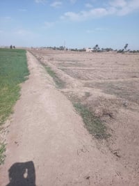 أرض زراعية للبيع 4دونم العنوان الرضوانية شارع الوزير للتواصل 077080240...