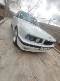 فول مواصفات • صبغ اوربي • كشنات جلد