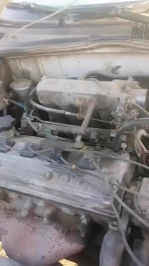 شوفرامريكي محرك كورولا اوتوماتيك مكان الزعفرانيه بغداد رقم كركوك الماني السعر 13 رقم  الهاتف 077577871 البكان الزعفرانية


**إذا كنت صاحب هذا الإعلان وتريد حذفه لأي سبب، رجاءا أرسل رسالة إلى الدعم الفني**