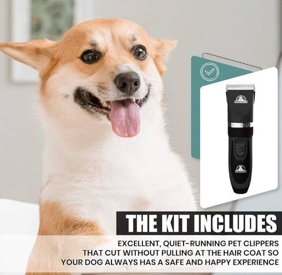 مكينه حلاقه للقطط وحيوانات أخرى مع مقص سيل استيل اثنان ومشط سيل استيل المكينه شحن باله انكليزي السعر على الخاص


**إذا كنت صاحب هذا الإعلان وتريد حذفه لأي سبب، رجاءا أرسل رسالة إلى الدعم الفني**