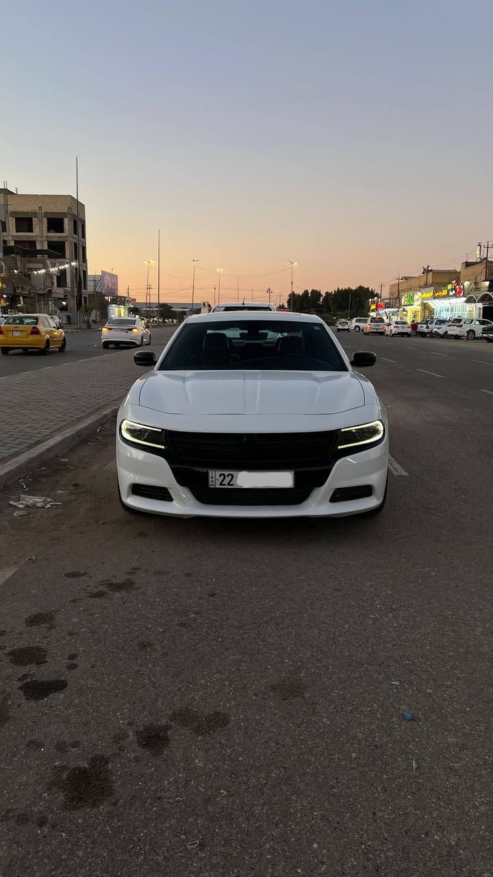 السلام عليكم
شباب المنشور واضح وتفاصيل كله واضحه والله يرزق الجميع 
___________________________
🔷السيارة : #دوج_جارجر
 SXT PLAS
 يعني فول للاخير

🔷سنة الصنع : 2021
🔷اللوحة : اربيل دولي مداور او وكاله 
🔶السعر : 220 ورقة 
🔷الضرر : تبديل وصبغ البنيد وبيه كلير من امريكيا باب خلفي وجاملغ خلفي بدون معجون بدون فتح  (صور الضرر مرفقة بالاعلان)
🔷ضرر الايرباك : ستيرن ودشبول وبردة وراجع سستم اصلي ودشبول مغلف علمود التطريز 
🔷رقم الشاصي : 2C3CDXBG4MH548464
______________________________________
🔷المواصفات:
🔹حجم المحرك 6 سلندر 3.6L
🔹عداد المسافة 72 الف ميل 
🔹فتحة سقف
🔹حساسات خلفية
🔹كراسي جلد بلاد 
🔹الكراسي الامامية كهرباء وتدفئه تبريد 
🔹الكراسي الخلفيه تدفئة 
🔹ويل كب حجم 18 انج مع اطارات بحالة جيدة
🔹وضعيات قيادة
🔹لايتات LED بالكامل
🔹شاشه تحكم بالايعازات
🔹تحكم ستيرن جهتين
——————————————
☎️ الاتصال :
***********
📍النجف الاشرف -
