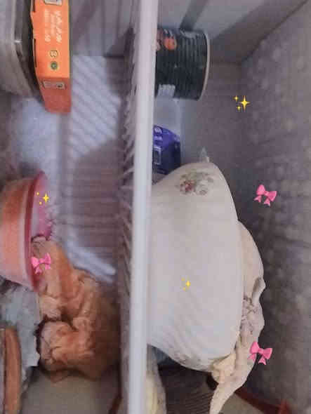 الكنتور 100الف
القريولات سعر الوحدة 40
الثلاجة 75
قفل 
بغداد المعالف 
***********
