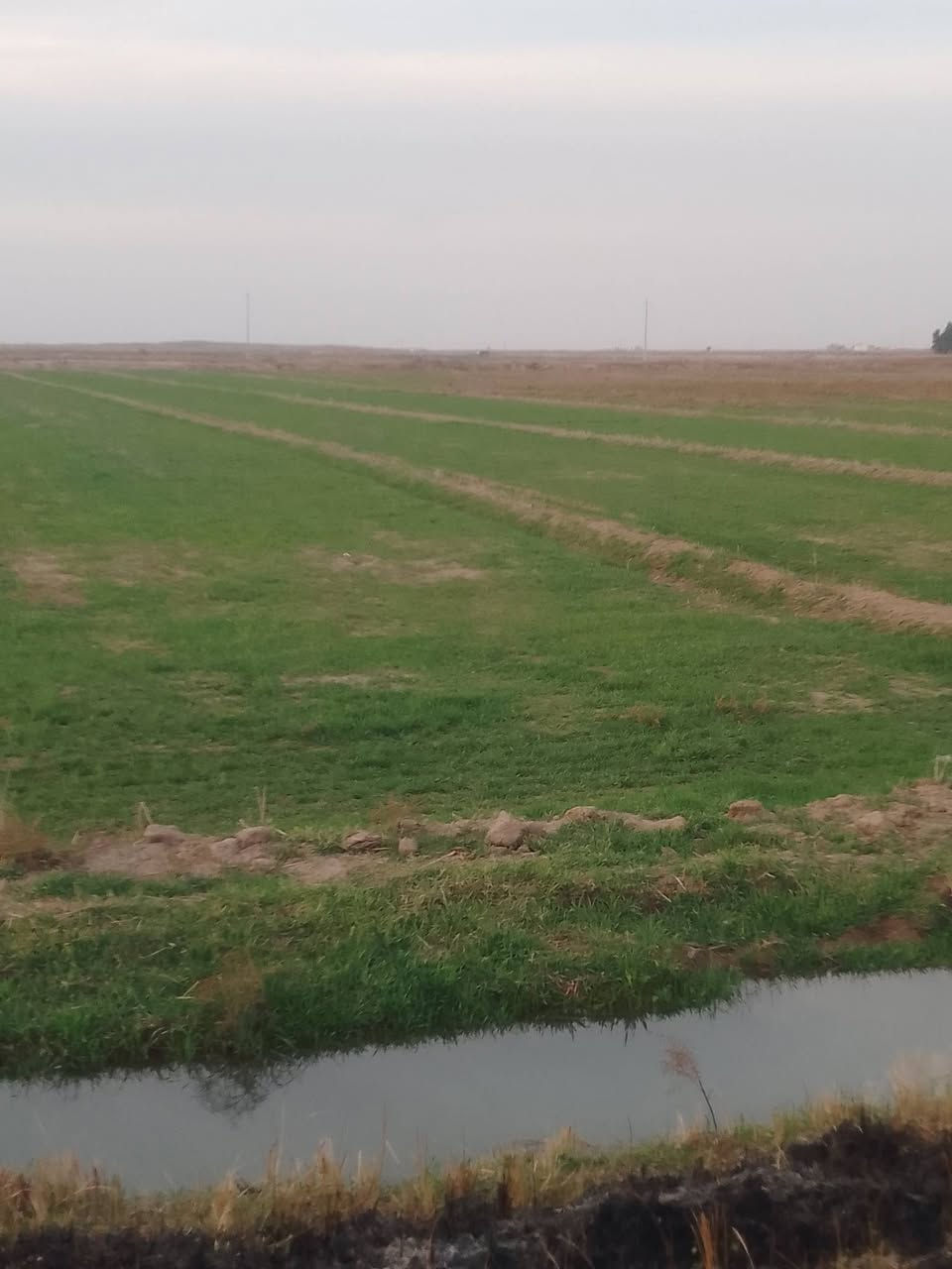 جاير 12دونم لضمان
المكان قرب ق 6الجسر الشارع العام 
ت/***********/تصل ودلل
