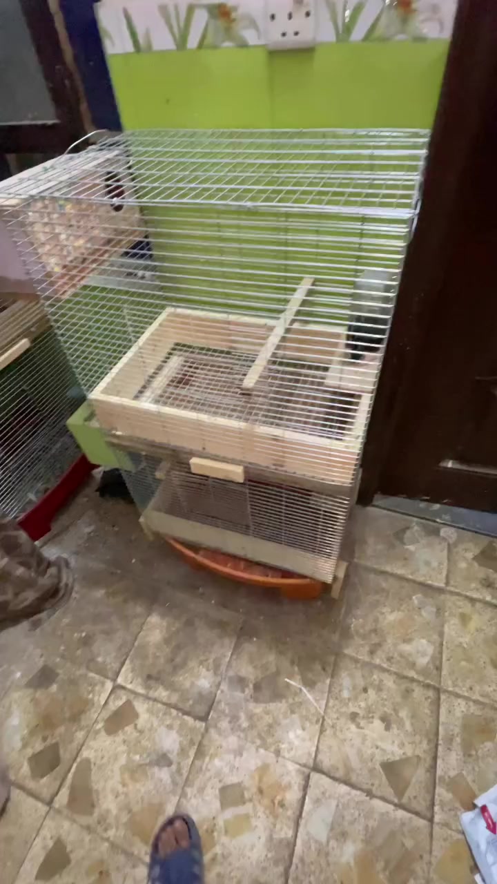 مكان نجف فول ترتيب


**إذا كنت صاحب هذا الإعلان وتريد حذفه لأي سبب، رجاءا أرسل رسالة إلى الدعم الفني**