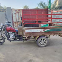 ستوته • موديل ٢٠١٥ • أوراق أصلية