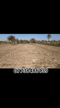 السلام عليكم،

نقدم لكم فرصة استثمارية مميزة: قطعة أرض للبيع بمساحة 2500 متر مربع(دونمين)، بواجهة عرضها 40 مترًا. تتميز الأرض بأسهمها الكاملة وتفتح بيان مباشرةً.

تتوفر جميع الخدمات الأساسية:
*   ماء سقي سيّح.
*   ماء إسالة.
*   كهرباء.
*   مدارس.
*  مستشفى(تبعد عن مستشفى الهندية العام كيلو ونص)

الموقع: كربلاء المقدسة، طويريج، مقابل حي الجمعية.
، ويوجد كتاب تبليط لشارعها مقرر لعام 2026.

تبعد الأرض حوالي 22 كيلومترًا عن مرقد الإمام الحسين (عليه السلام).

تصلح هذه الأرض لأغراض متعددة:
*   الزراعة.
*   السكن (مزرعة خاصة أو دار استراحة).
*   استثمار.

للاستفسار، : *********** (متوفر واتساب).

#عقارات_كربلاء
#عقارات_طويريج
#عقارات
