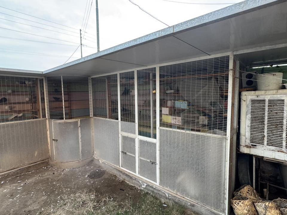 للبيع$
قفص أو برج يصلح لطيور الزينة أو لتبرير الحمام مساحة الجهة الواحدة 3امتار والمنتصف نصف دائري ارتفاع 2متر حديد ثقيل وسقف سندويج مقسم خمس أبراج في متر ونص رقم تليفون *********** اتصل وتدلل المكان الأسكندرية الإسكان الصناعي
