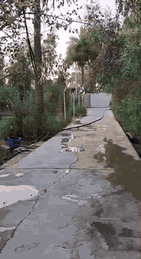 دار للبيع سند ٢٥ مشمول بالطابو ضمن قضاء الزوراء العنوان ولداية قرب الج...