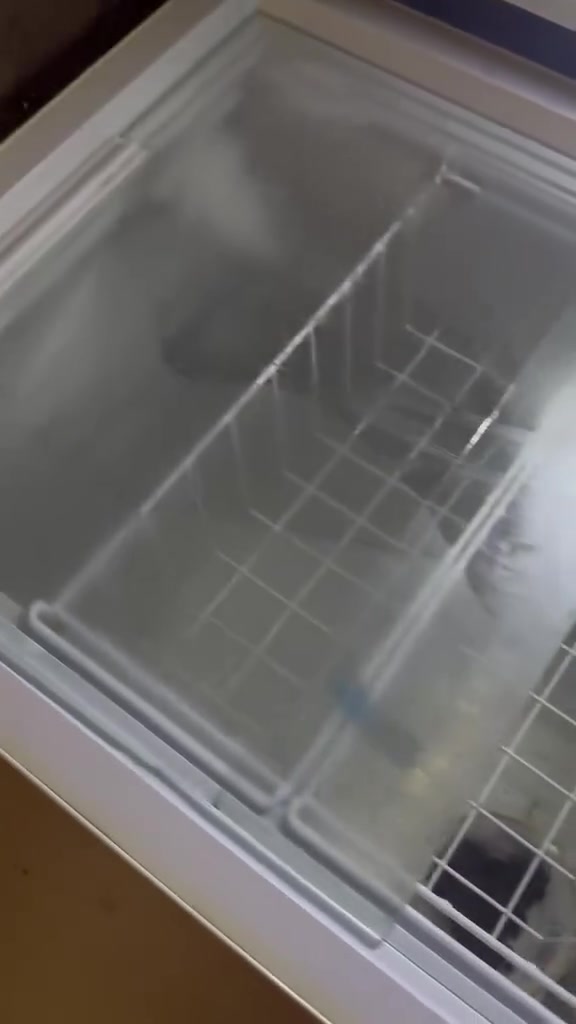 غراض لبيع مستعجلين على بيع


**إذا كنت صاحب هذا الإعلان وتريد حذفه لأي سبب، رجاءا أرسل رسالة إلى الدعم الفني**