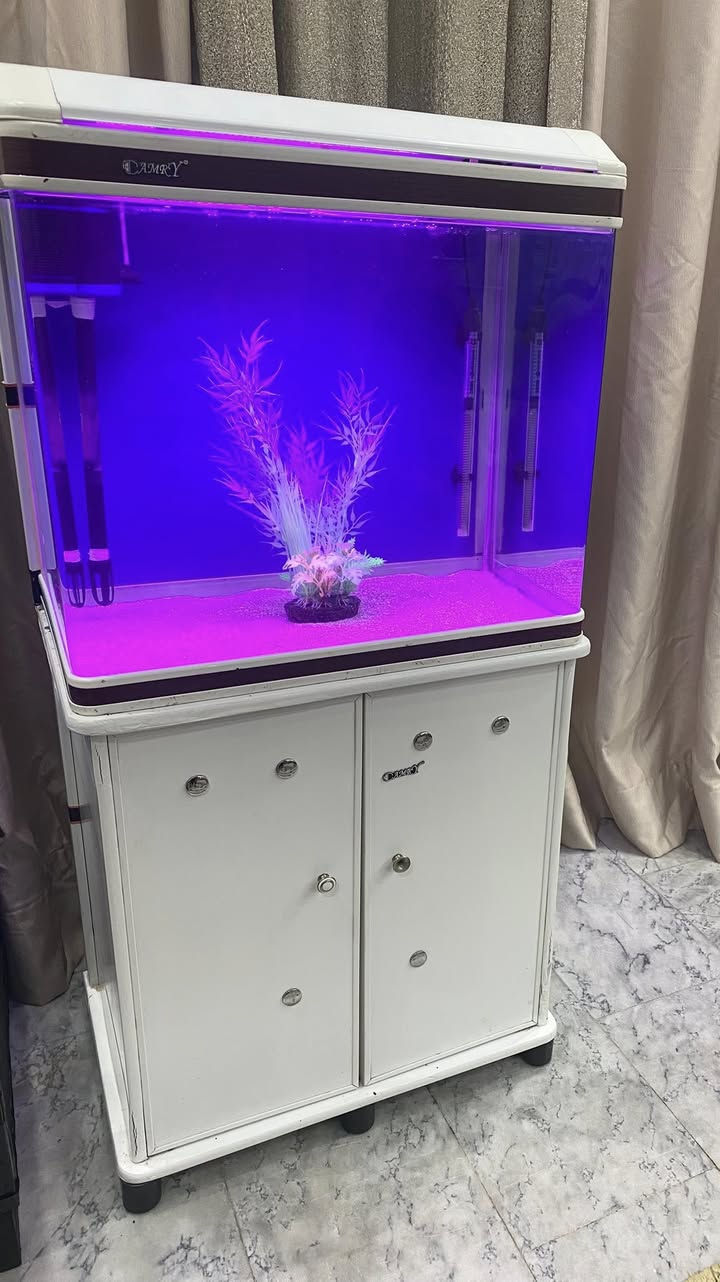 سلام عليكم شباب 
حوض كامري ابيض فول نظافة جاهز من كلشي 
اناره
فلتر 
هيتر
جهاز اوكسجين
رمل وشجره ضوئية
علبه اكل 
للبيع مكان السيديه تفاصيل اكثر خاص او الاتصال ***********
