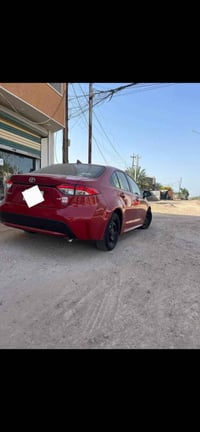 كورلا 21 مراوس بفورتي اكو 07732801704 بغداد