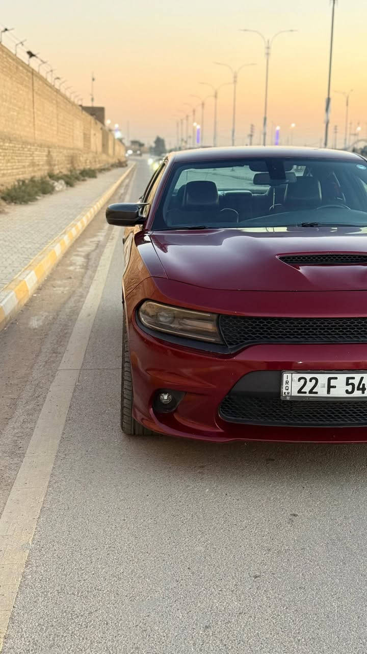 سلام عليكم
للبيع جارجر ارتي (RT)

سوبر تراك باك
خزن ميموري (وضعيات القيادة)
كشنات تدفئه تبريد 
تحكم الكشنات كهربائي
دمام صوت 
حادثها مرفق بالصور بنيد مبدل وجاملغ سايق مصبوغ فقط 
ماشيه 77 الف 
ويل نجمه _ صوتها حلو دبات سود حجر بيئه موجود 
رقم اربيل ستوني محولها وهسه جديدة

للاستفسار :- ***********
