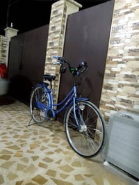 عبدالحليم • حجم ٢٦ • سبع نمرات