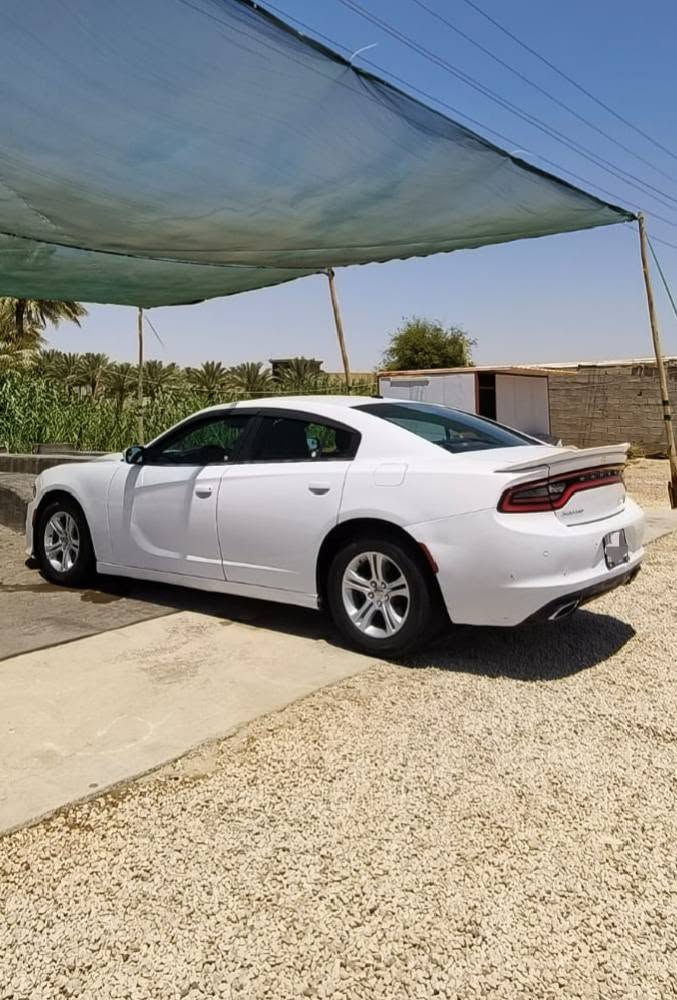 السلام عليكم جارجر sxt 3600 موديل ٢٠١٥
مواصفات تحكمات ستيرن وشفتات ومثبت سرعة كشن سايق كهرباء تبريد قطعتين كامرة وحساس خلفي كير اوتو وعادي تشغيل عن بعد بصمة تشغيل وبصمة ابواب سيارة جاهزة كلشي بيها شغال ولا كلوب مشتغل بالعداد تبريد تدفئة منظومة كاملة نفض تخم تاير وحدادية قبل شهر نفض برمجة مراوح وادفانز وفصله قبل شهر مسويها ترايها من البصرة لأربيل رقم ذي قار مشروع وطني سنويه باسمي تنتهي بشهر ٦ سنة ٢٠٢٨ باي محافظة تتحول مكاني الحلة - البصرة بيهه قطع صبغ سعر ١٤٨ وبيهه مجال للاستفسار اكثر ‏‪***********‬‏
