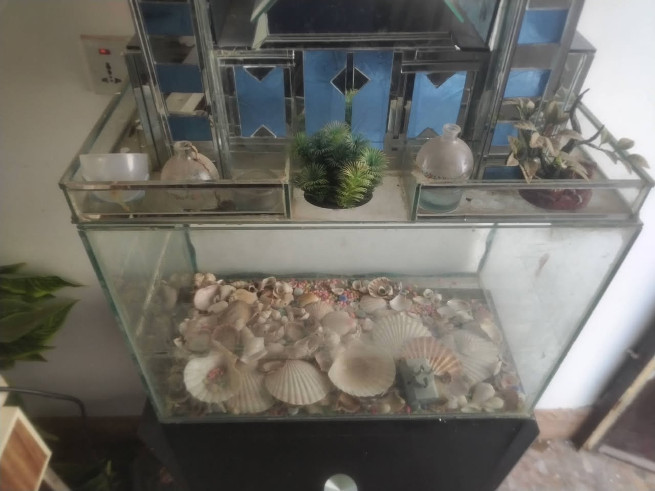 السلام عليكم حوض سمك مع قاعدة ب 70 بدون قاعدة 50وبيه مجال يحتوي عل زينة اسماك وحوض سليم مابيه لازرف ولا شخط 🐟🐠🐡🐚🪸 للتواصل مازنجر وذا عل رقم *********** وشكرا
