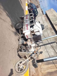 ستوته • بدون أوراق • ديالى كنعان