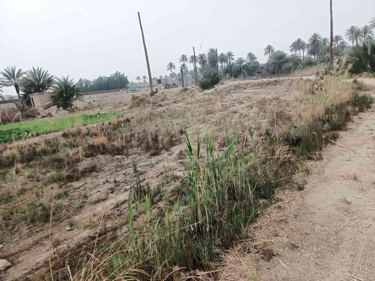 قطعه للبيع مساحه امشاره و ربع السعر 65 و بيهه مجال في قريه النخيله الغربيه
لل استفسار‏‪***********‬‏
