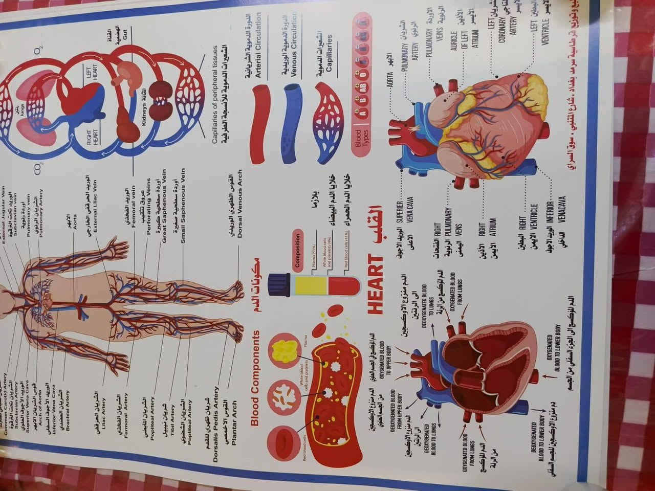 #الجميع


**إذا كنت صاحب هذا الإعلان وتريد حذفه لأي سبب، رجاءا أرسل رسالة إلى الدعم الفني**