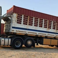 صفاح بدي عراقي للبيع باب وشبجه مكفولات نضافه فول)طولهن (13ونص }العنوان...