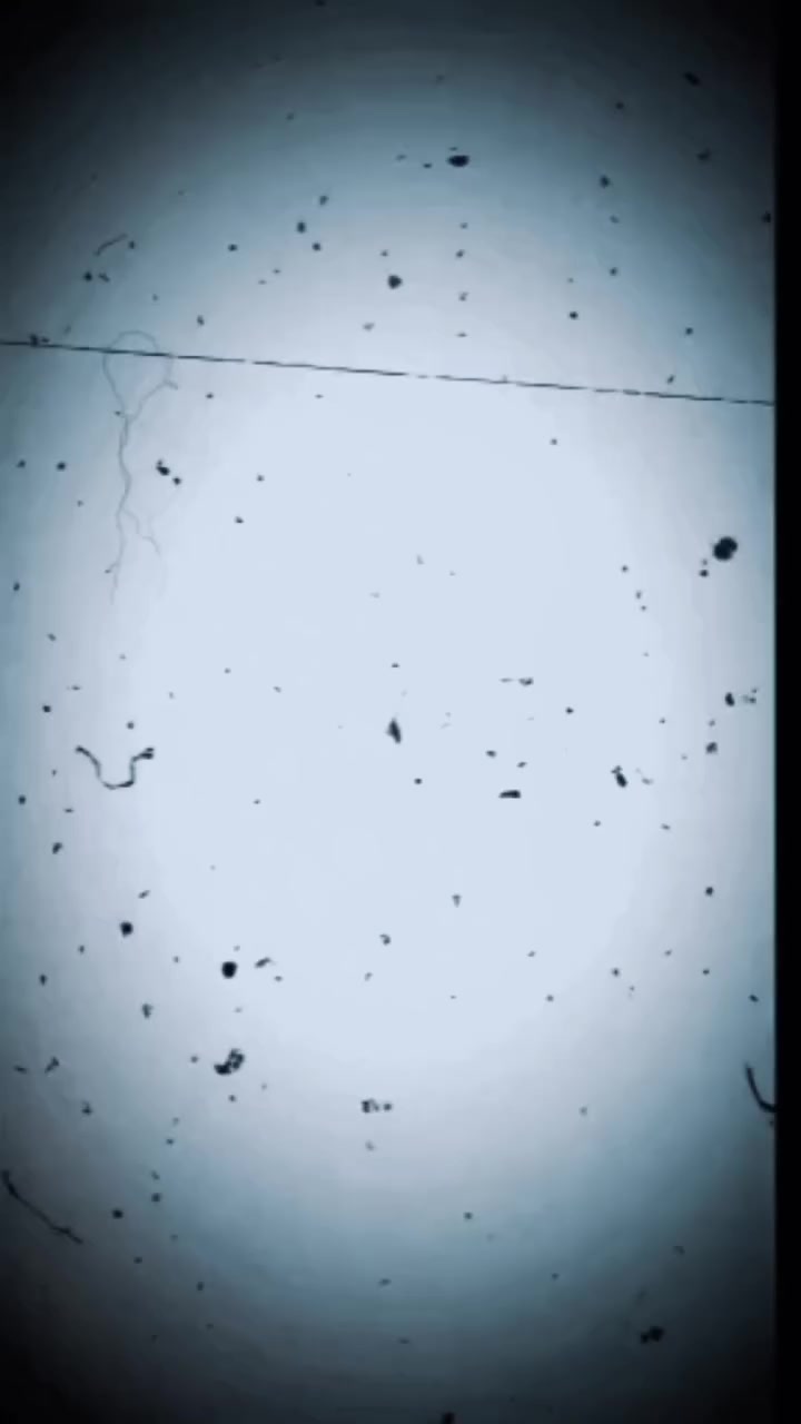 البرنس للاحجار الكريمة  متخصص و خبير بمجال المجوهرات والأحجار الكريمة الطبيعية في السودان 🇸🇩 
#لايك #شير #متابعه #متابعة لمزيد من العروض 🌹💎 
للتواصل: 
0110903876
0968856741
التوصيل لجميع الولايات والمناطق الآمنة في السودان 🇸🇩


**إذا كنت صاحب هذا الإعلان وتريد حذفه لأي سبب، رجاءا أرسل رسالة إلى الدعم الفني**