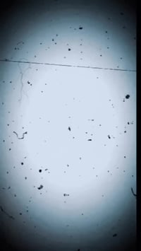 أحجار كريمة • خبير مجوهرات • توصيل السودان